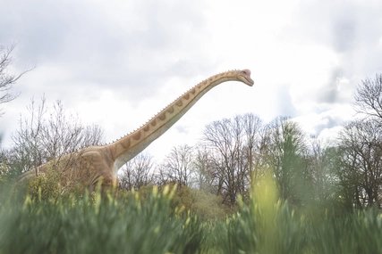 Dinoworld im Tierpark Berlin