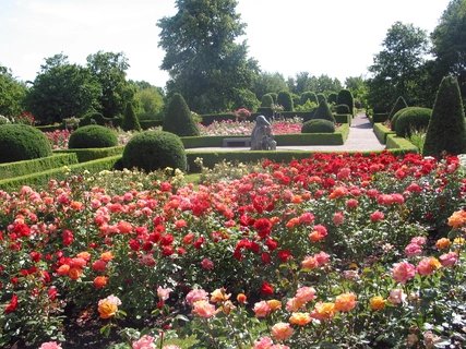 Rosengarten - Britzer Garten