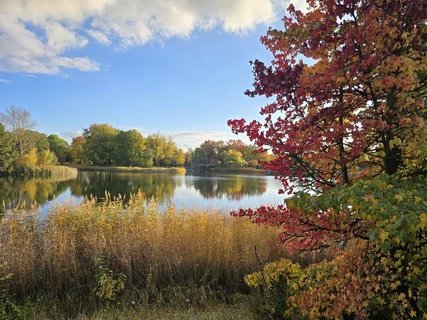 Britzer Garten