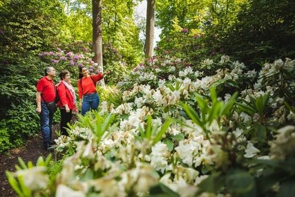 Britzer Garten
