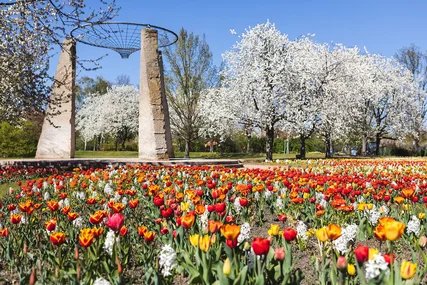 Britzer Garten