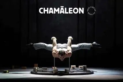 allgemeines Bild Chamäleon Theater