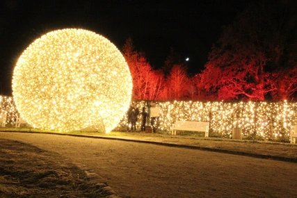 Christmas Garden