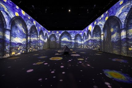 Bilddaten Van Gogh Experience, EdA 2021