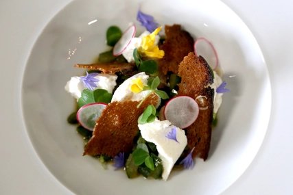 Dishes at the restaurant Cookies Cream Vegetarian restaurant with star cuisine: fermented cucumber with Pave Blanc