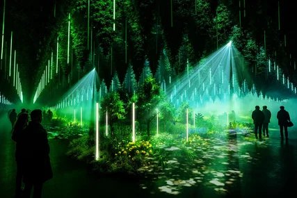 Dark Matter Forest Lights