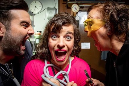 Die Stachelschweine - Fassen wir zusammen