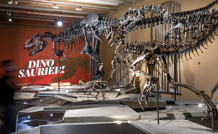 Exposición Dinosaurios en Berlín, Museo de Historia Natural