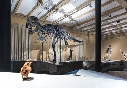 Dinosaurierskelett Tristan in Berlin, Museum für Naturkunde Dinosaurierskelett Tristan in Berlin, Museum für Naturkunde