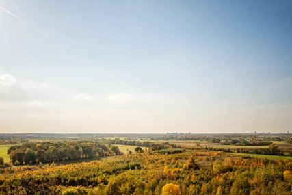 Landscape with wide sky: The village view in Rudow, Berlin