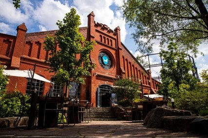 Brew Dog DogTap Berlino Bar britannico Brew Dog DogTap Berlino Bar britannico
