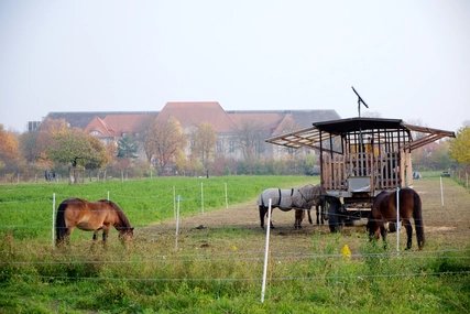 Domäne Dahlem