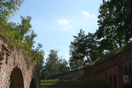 Fort Hahneberg in Spandau, a bat paradise