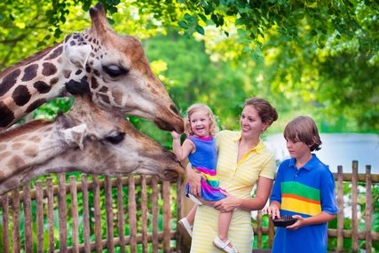 Familie füttern Giraffen im Zoo