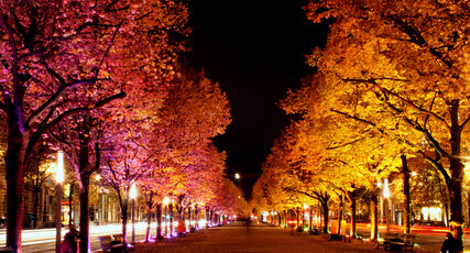 Unter den Linden durante el Festival de las Luces que se celebra en otoño