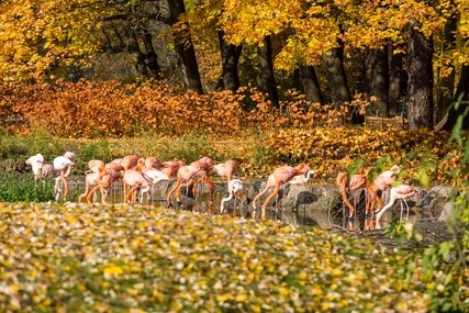 Tierpark Berlin
