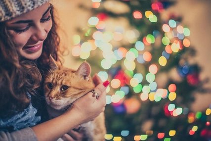 Frau mit Katze vorm Weihnachtsbaum
