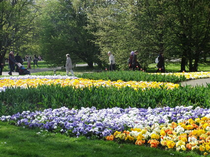 Flower bed at the Gardens of the World Berlin