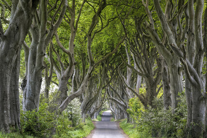 Game of Thrones Drehort in Nordirland