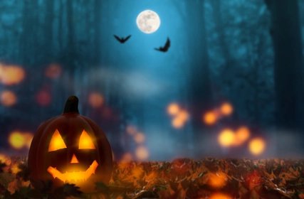 Pumpkin in Halloween Forest
