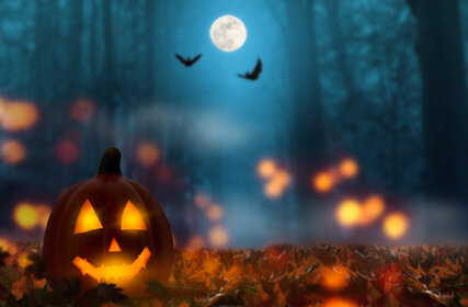 Jack O’Lantern an Halloween