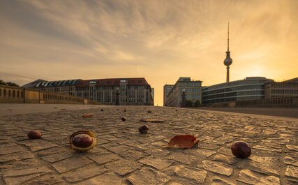 Berlin Skyline mit Kastanien und Sonnenlicht im Herbst