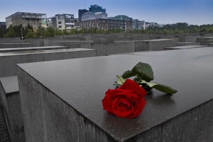 Memorial to the Murdered Jews of Europe Rose on the Memorial to the Murdered Jews of Europe in Berlin Mitte