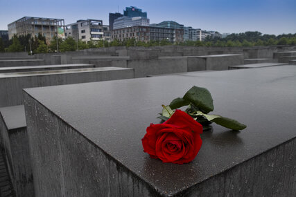 Rose on the Memorial to the Murdered Jews of Europe in Berlin Mitte