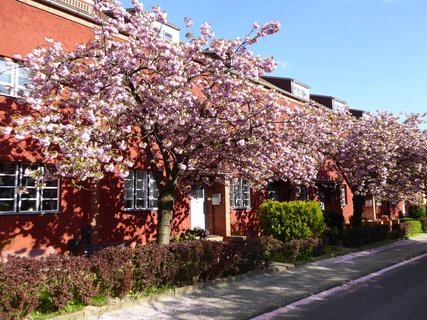 Hufeisensiedlung