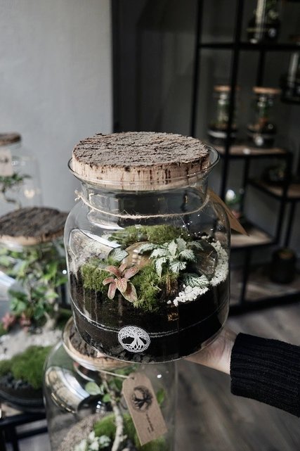 Tiny Gardens