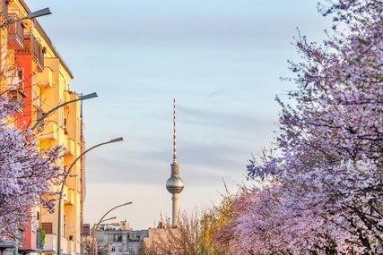Springtime in Berlin: Street with blooming trees