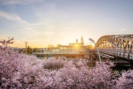 Frühling