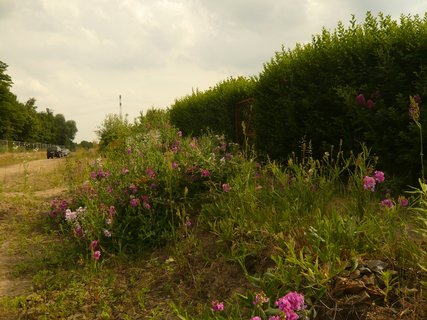 Parco paesaggistico Herzberge