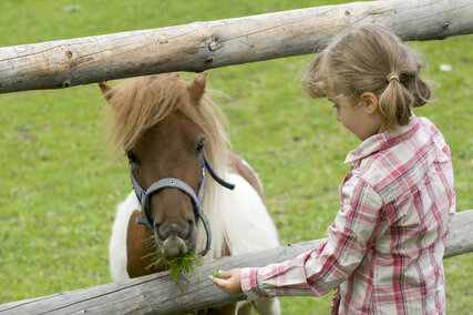 Mädchen füttert ein Pony