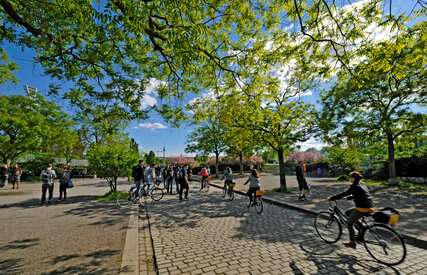 Berlin Mauerpark by bike