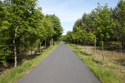 Mauerradweg bei Hohen Neuendorf