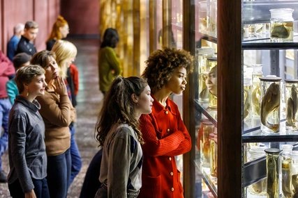 Museum für Naturkunde Berlin Besucherinnen im Museum für Naturkunde Berlin