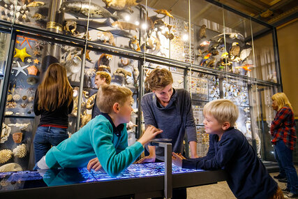 Familie im Museum für Naturkunde Berlin - eine Attraktion für Kinder