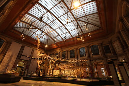 Big hall of Museum of Natural History 