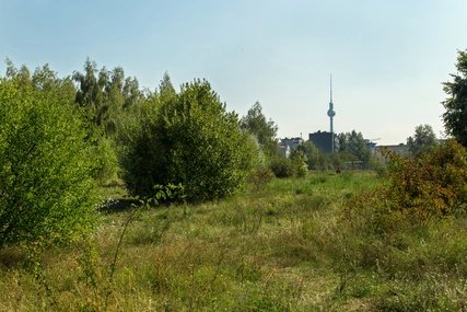 Park am Nordbahnhof im Sommer Park am Nordbahnhof