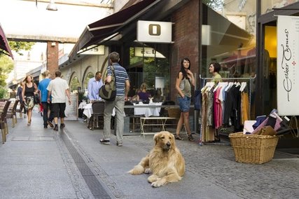 Berlin mit Hund Boutique Esther Thomas in der Savignypassage