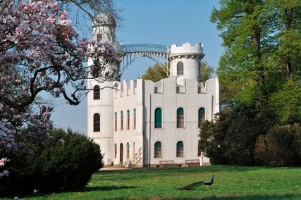 Castello dell'Isola dei pavoni Magnolie di tulipani in fiore al Palazzo Pfaueninsel di Berlino