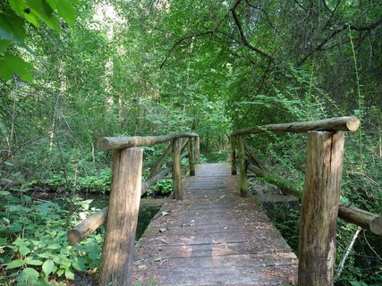 Spandauer Forst
