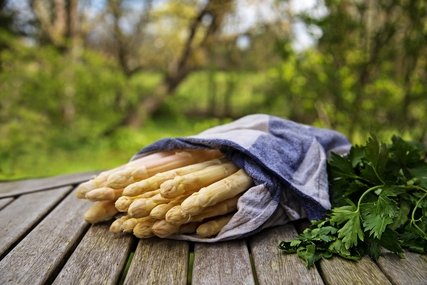 Fresh on the table: asparagus Asparagus season