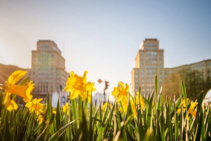 Frühling