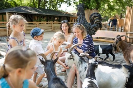 Streichelzoo im Zoo Berlin Streichelzoo im Zoo Berlin