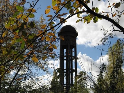 Natur-Park Schöneberger Südgelände Natur-Park Südgelände