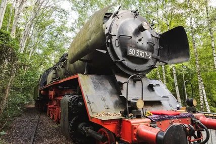 Natur Park Südgelände