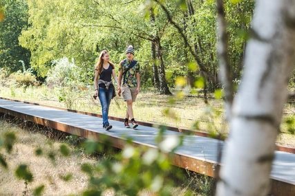 Natur Park Südgelände