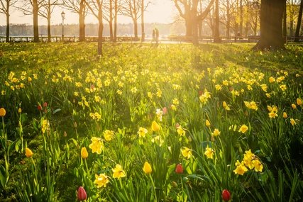 Frühling am Tegeler See